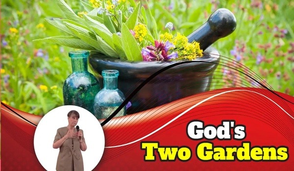 two Gardens